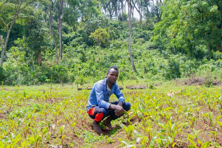 Reaching Sao Tome Farmers through CATI A local Sao Tome