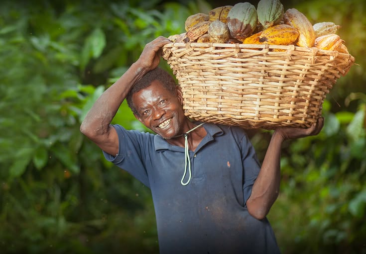 Reaching Ghanian Farmers through CATI A local farmer carrying his farm produce